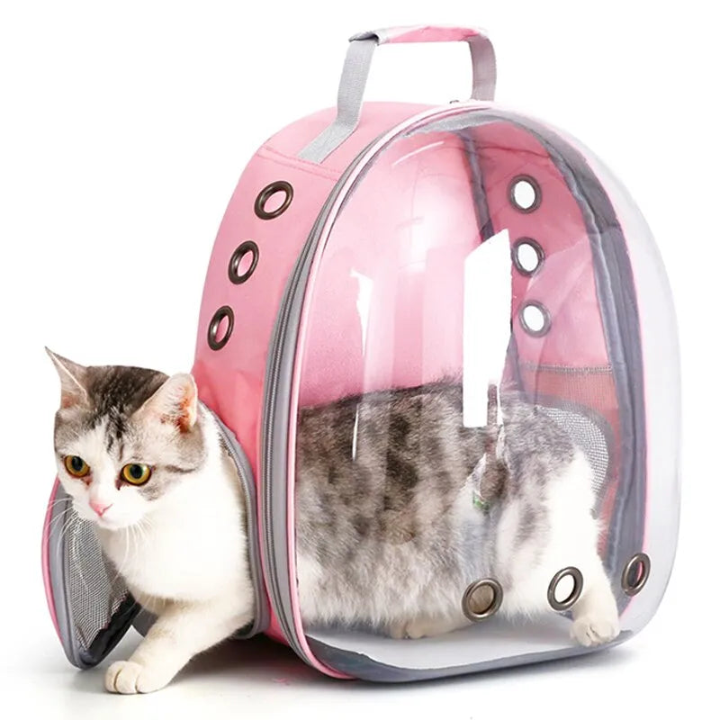 Mochila para transportar animais de estimação, cápsula transparente, bolha, animal de estimação, pequeno, filhote, gatinho, pássaro, respirável, para viagem